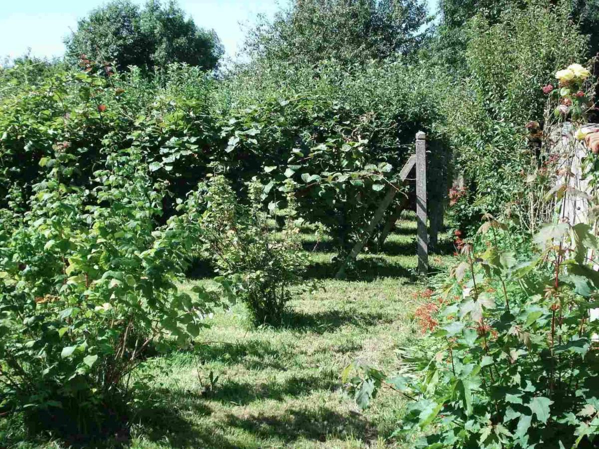 Le Clos Des Tilleuls La Vendelée 외부 사진